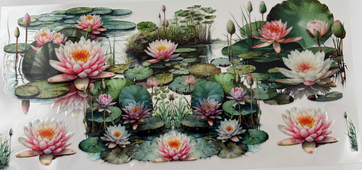 Waterlilies