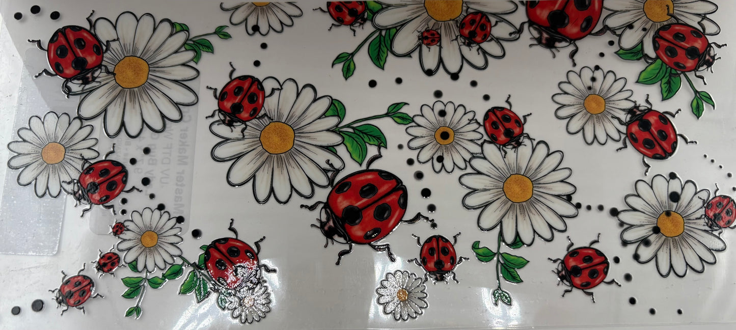 Ladybug and Daisies