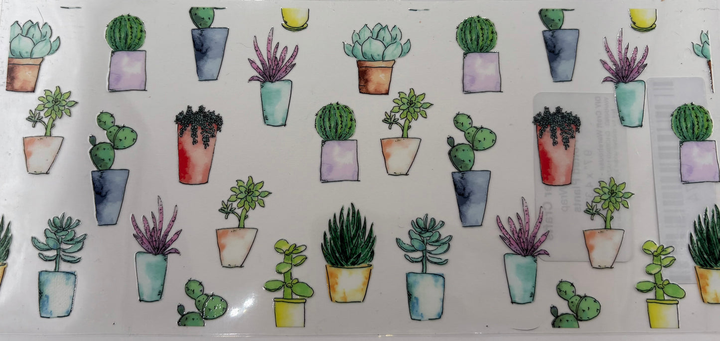 Plants