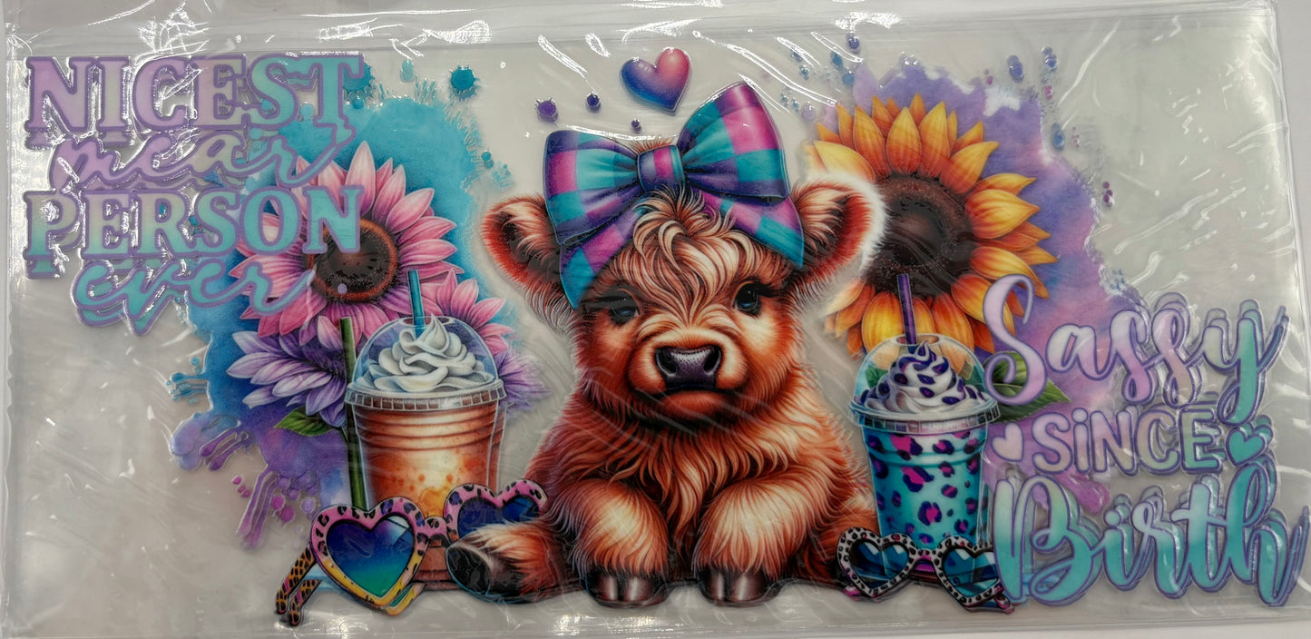 sassy since birth cow