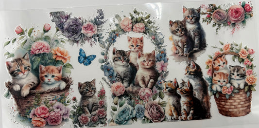 Kittens and Flowers
