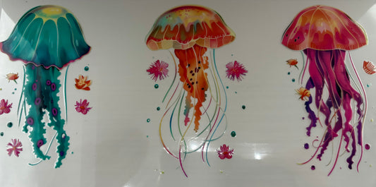 Jellfyfish 1