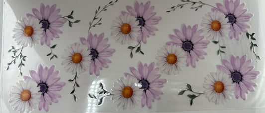 White and Purple Daisies