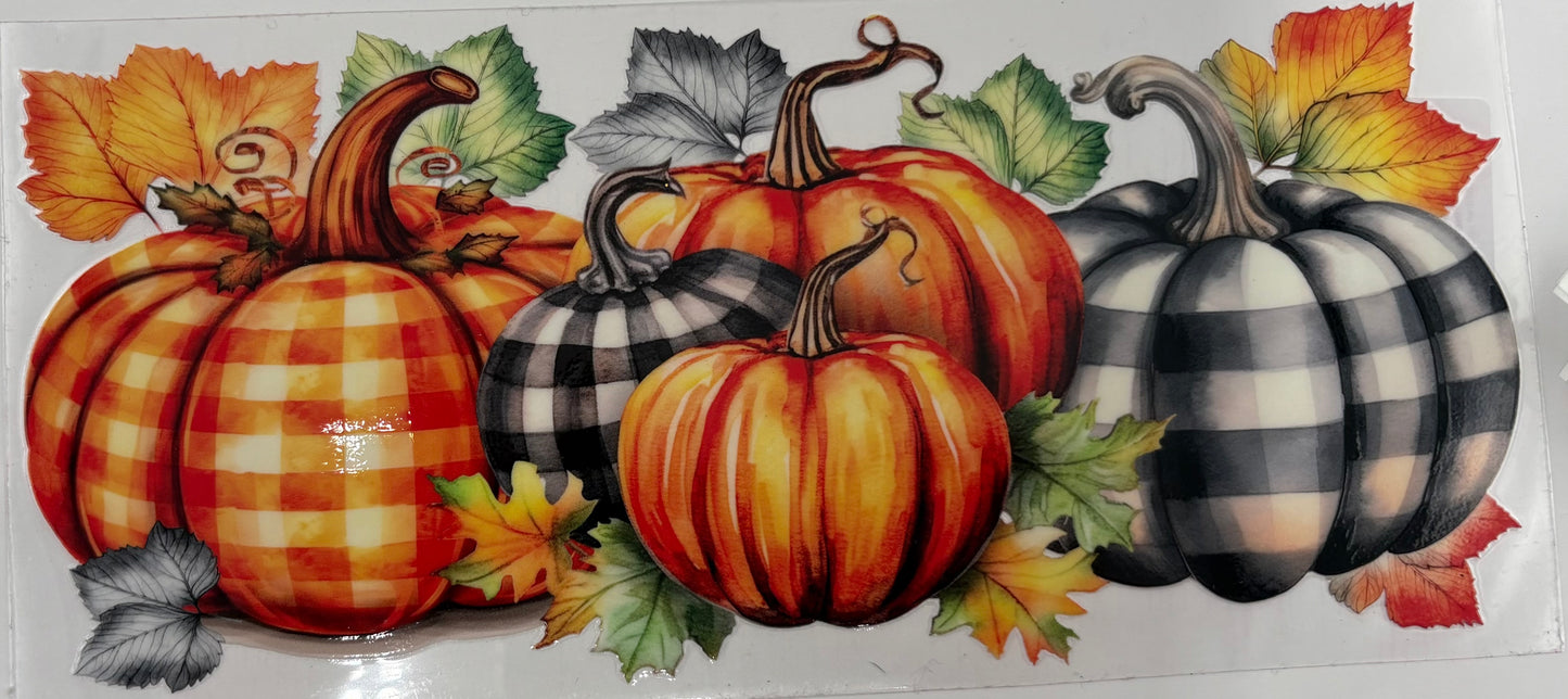 Fall Pumpkins