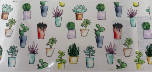 Plants