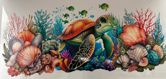 Sea Turtle 1